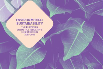 CE Environmental Sustainability Report 2019