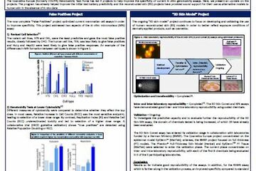 Genotoxicity TF at EUROTOX 2013: Addressing the high rate of “false” positives in vitro clastogenicity assays